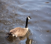 2014 04 20 MinnehahaFalls 003